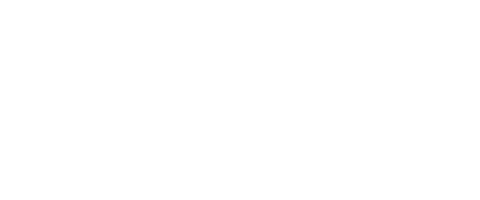 hikmicro-logo